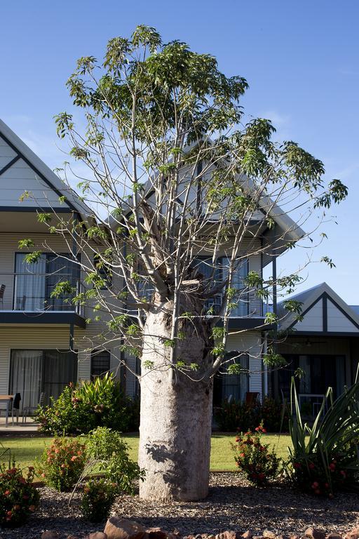 كونونورا Freshwater East Kimberley Apartments المظهر الخارجي الصورة